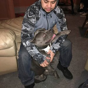 Meet your Posher, Jesus